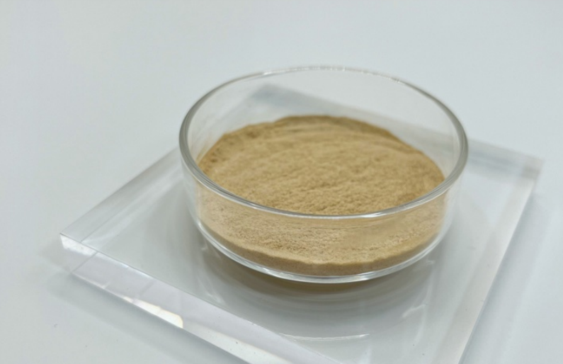 廠家供應救必應提取物，CAS 42719-32-4 長梗冬青苷 具棲冬青苷 15% 18%